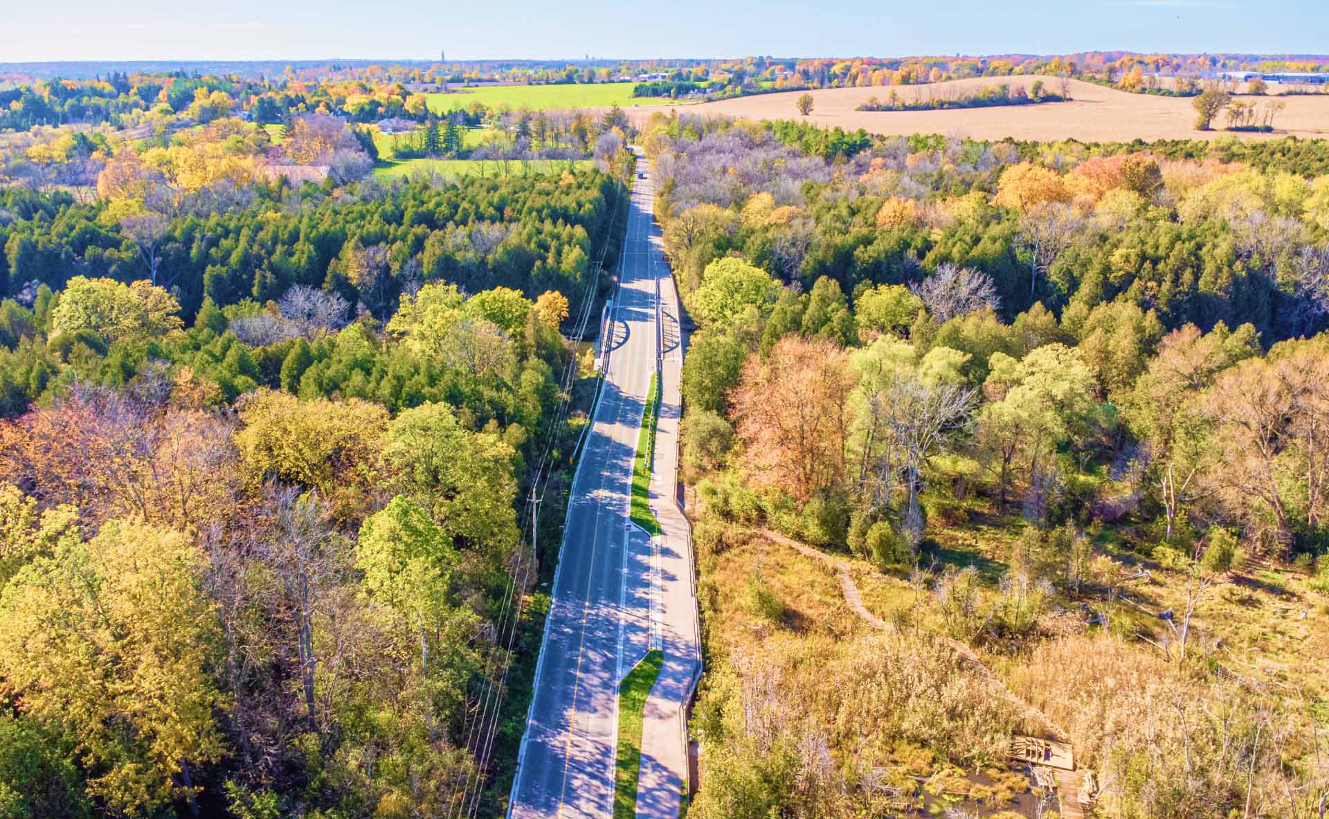 Highway running through a forested region
