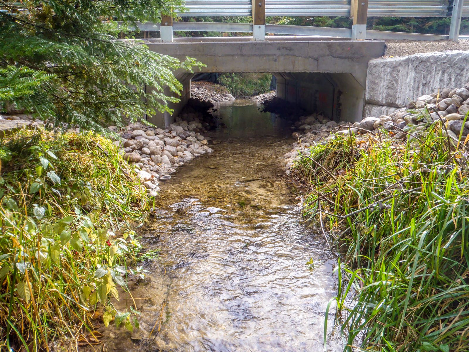 Barefoot Box Culvert Finished Project from Downstream