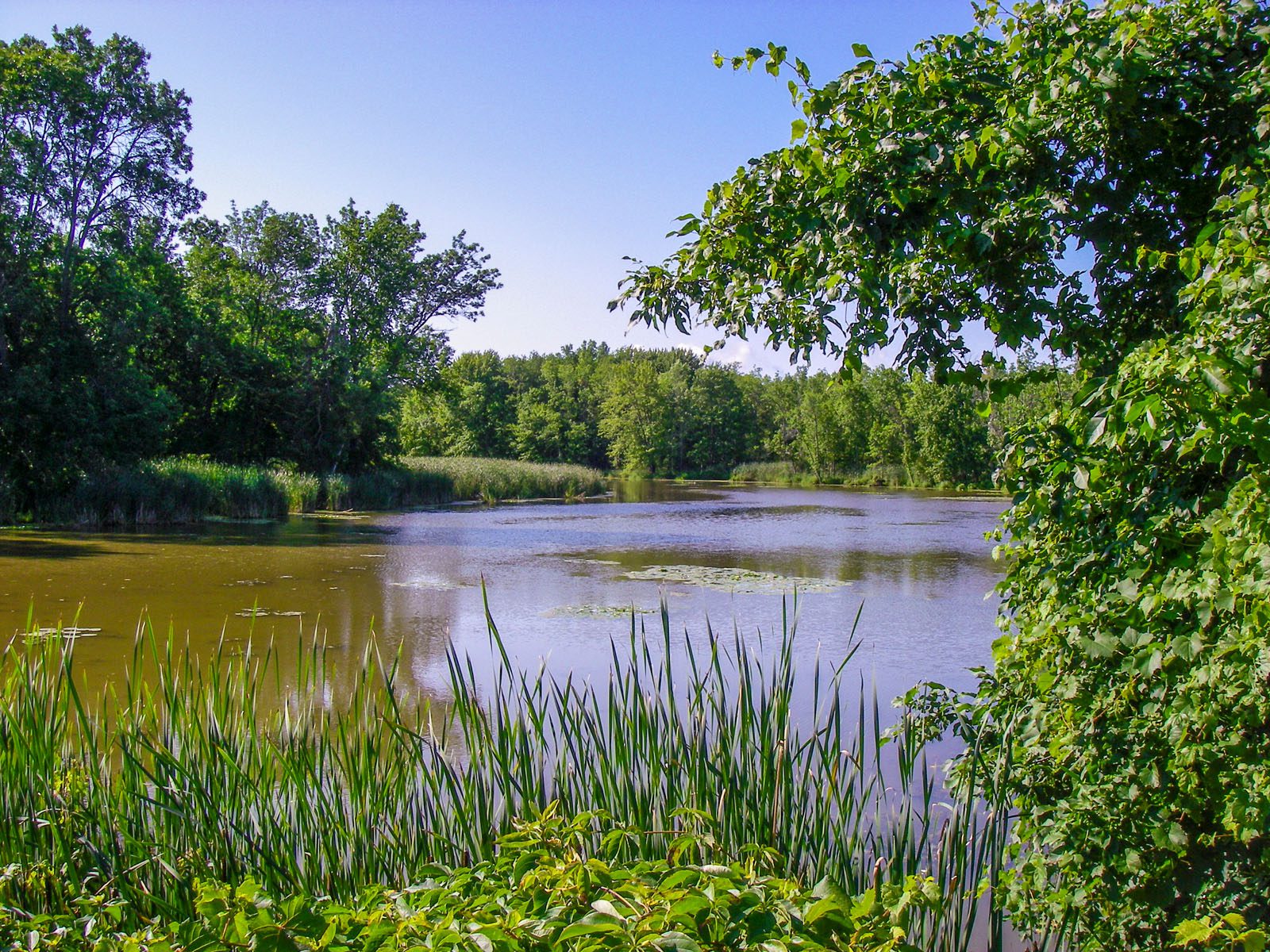 Environmental Permitting Pond Landscape