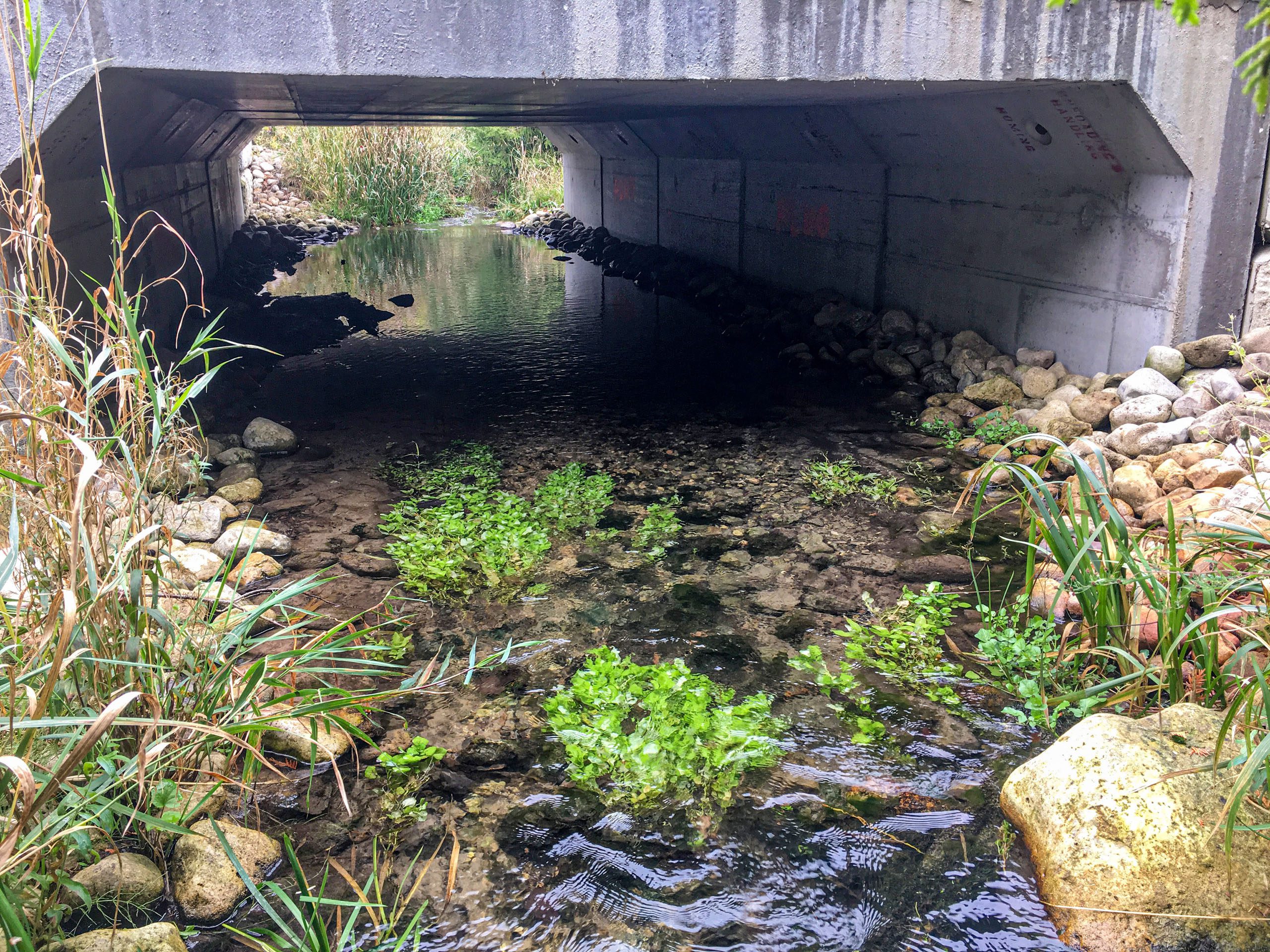 Barefoot Box Culvert Looking Downstream