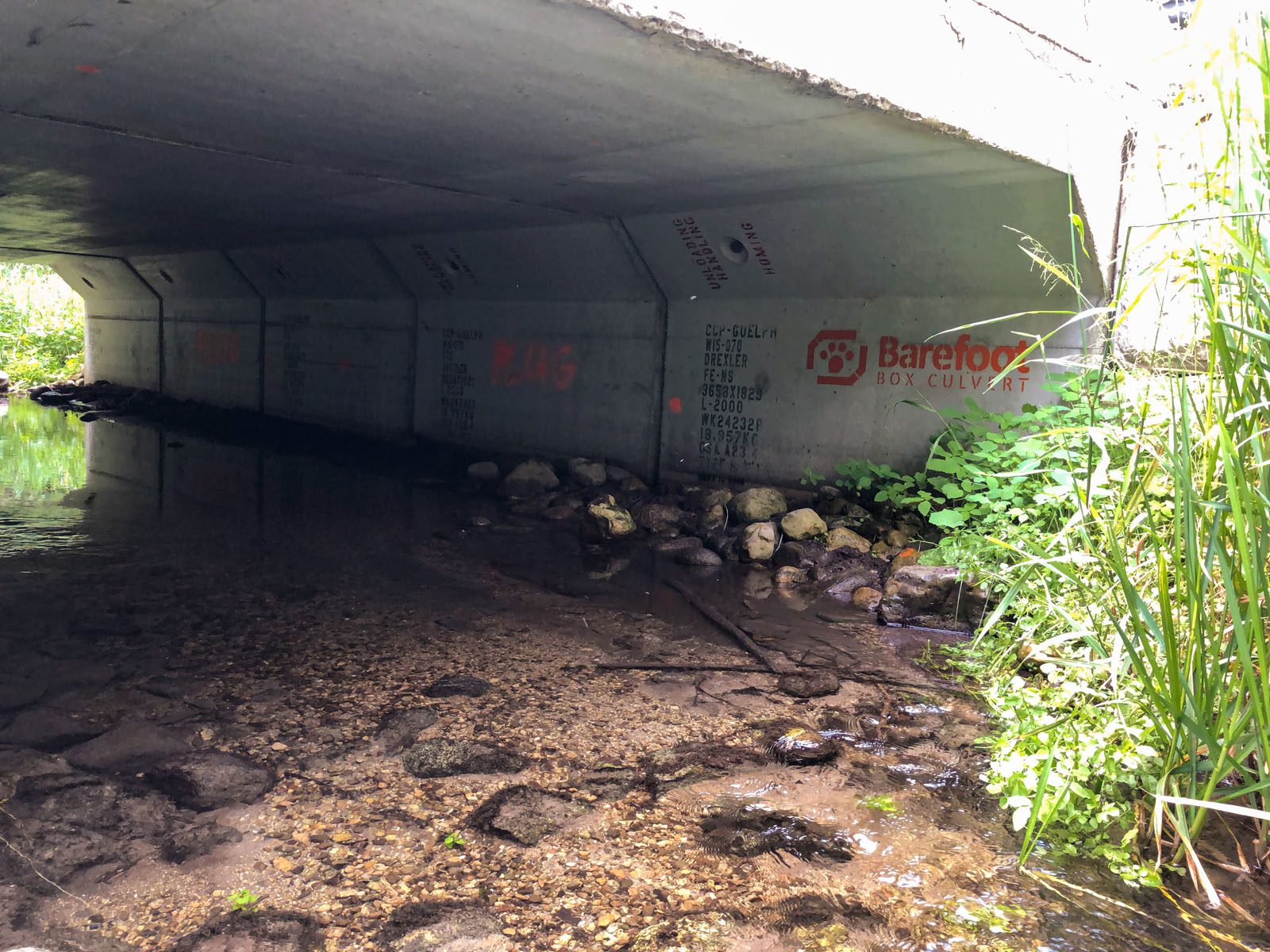 Barefoot Box Culvert with Logo Applied to Inside Wall