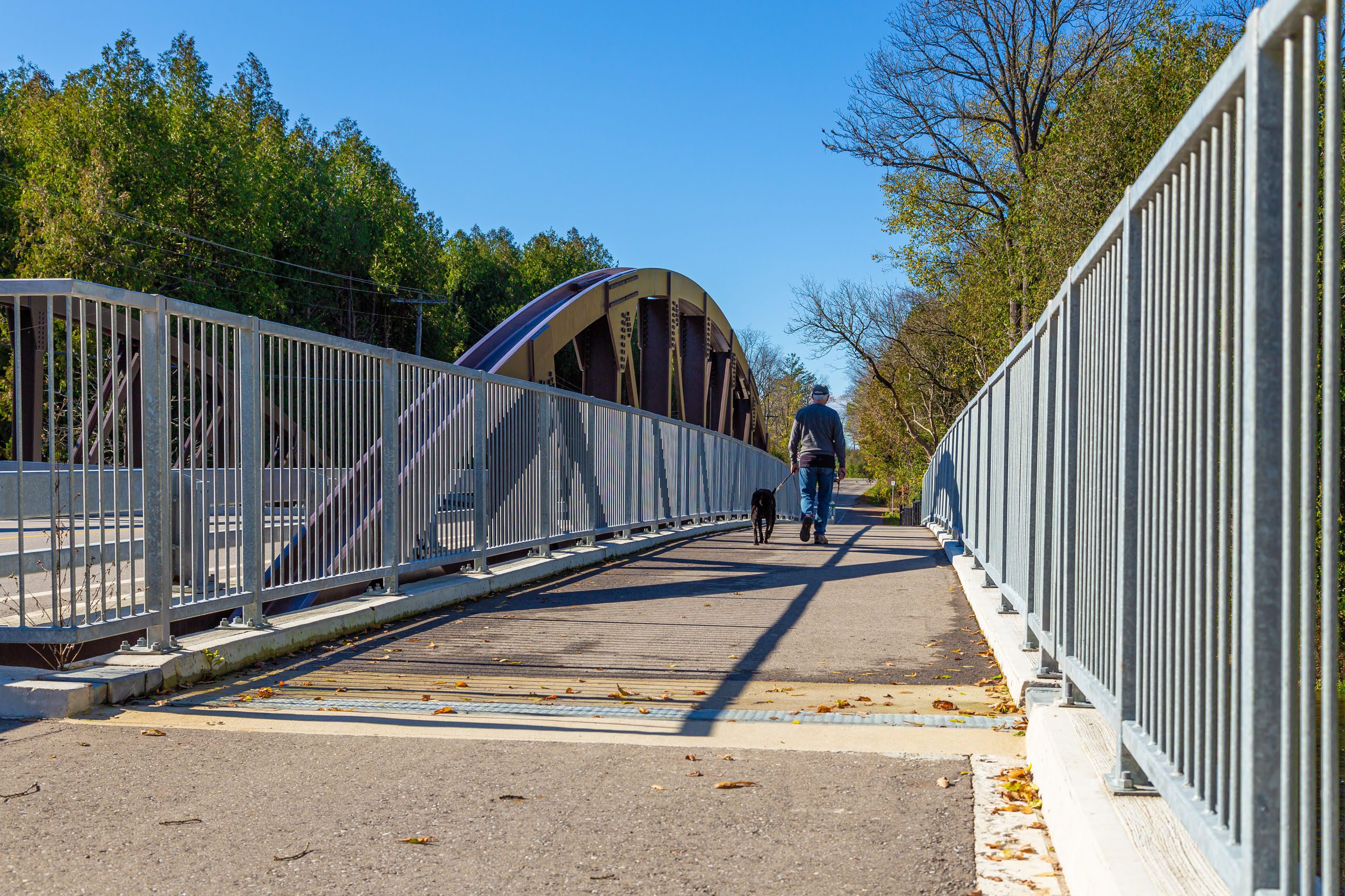 Niska Road Bridge Sidewalk Man Walking with Dog 2