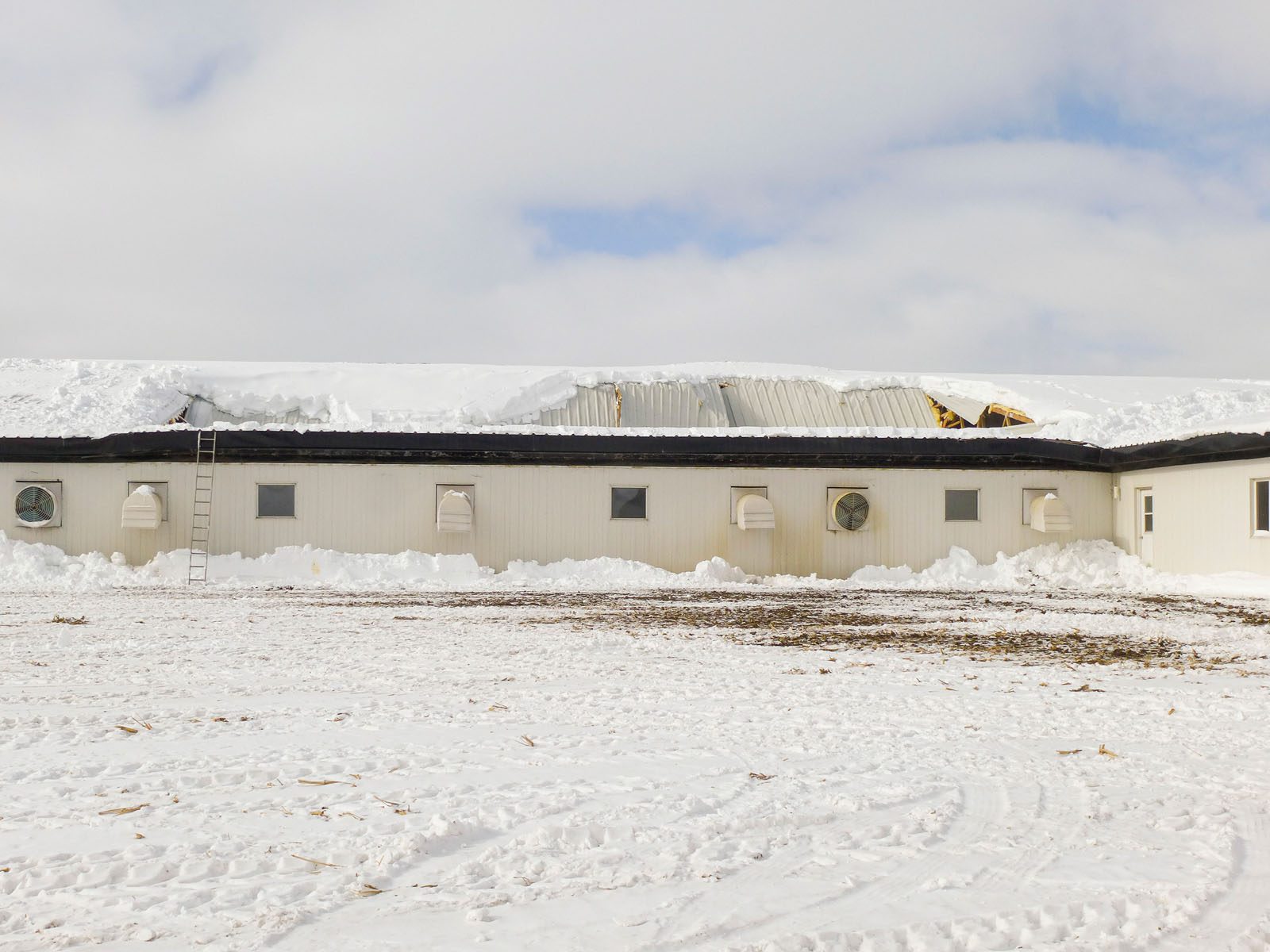 Collapsed roof of Agricultural Building due to Snow