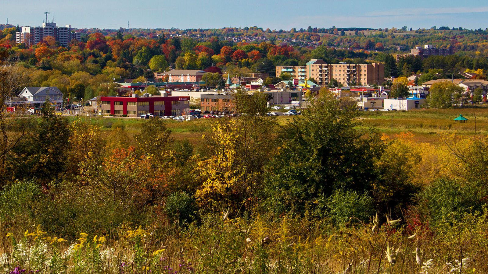 Burnside Office in Orangeville Landscape