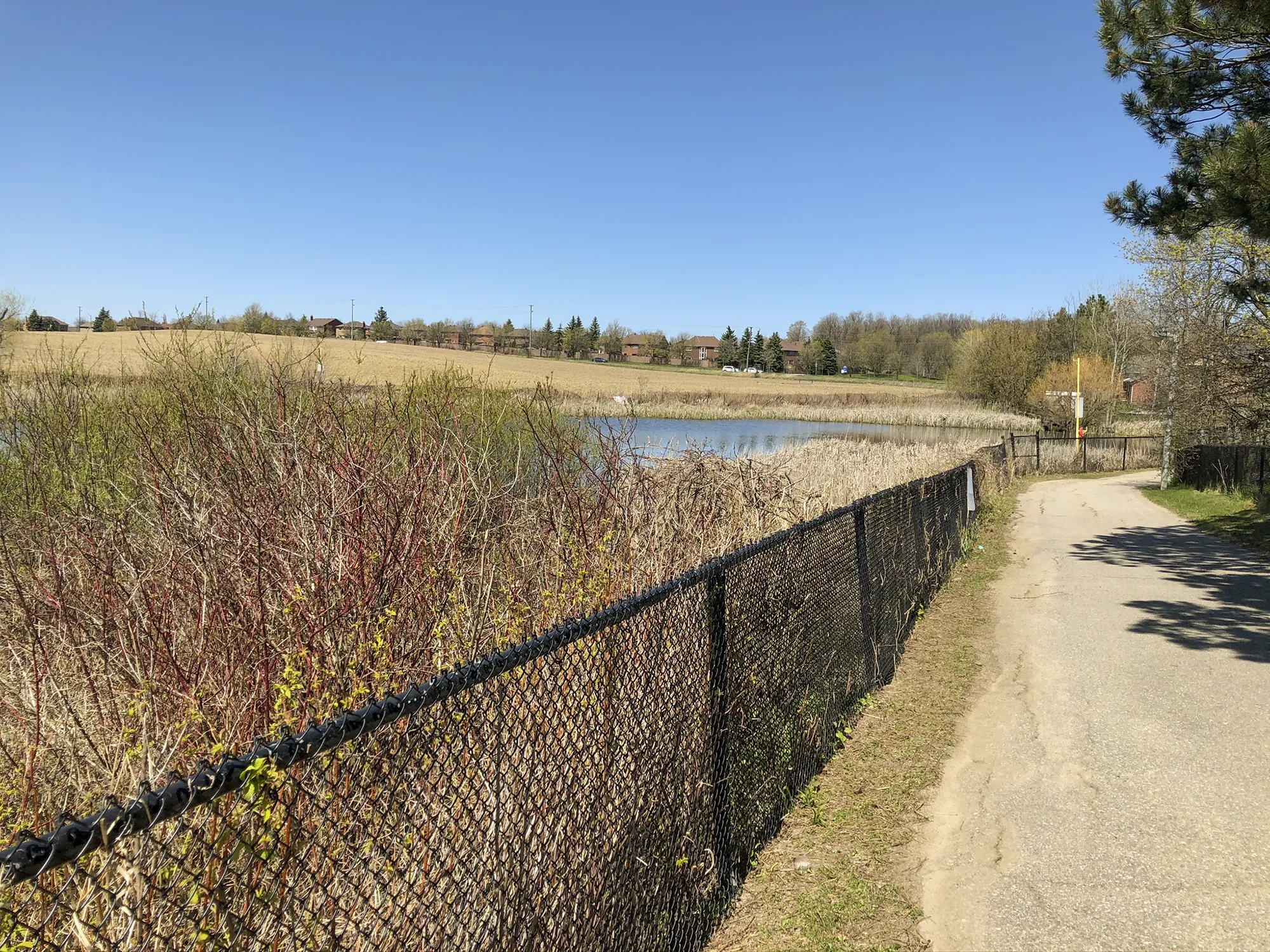 Parkside Heights Subdivision Path and Pond