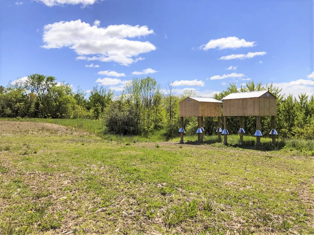 Seaton Mulberry Subdivision Field with small buildings on stilts