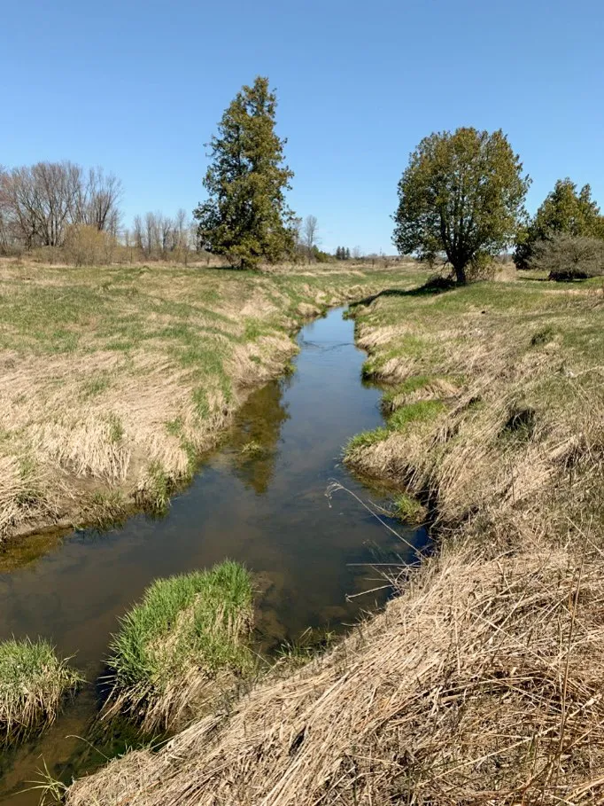 Innisfil Drain Grass Banks