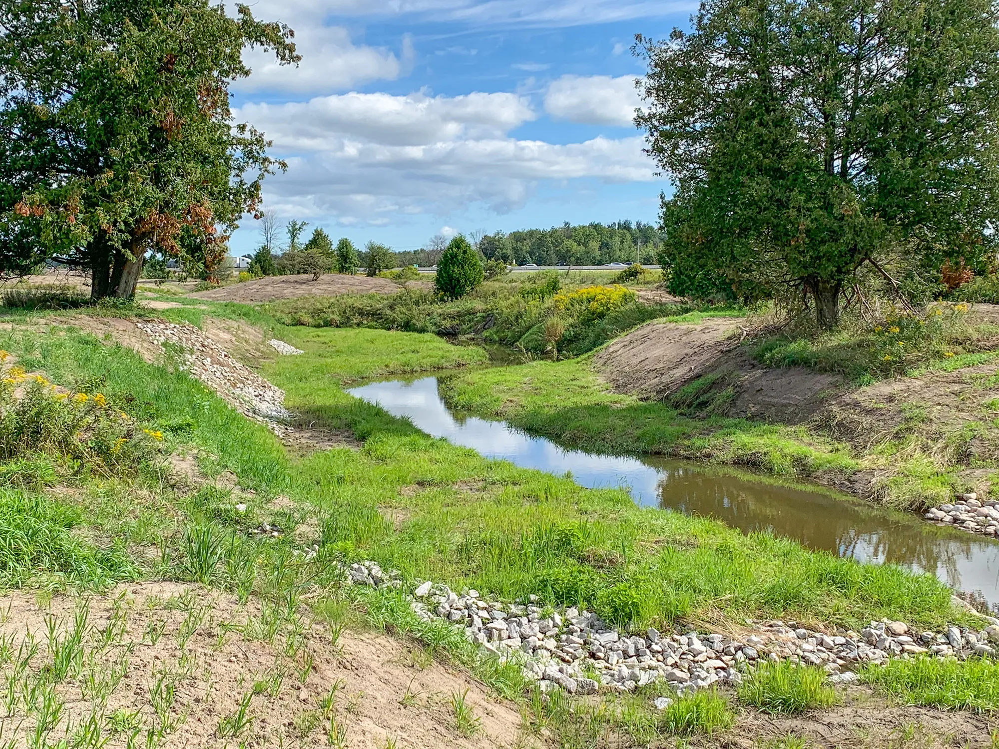 Winding river with Green Banks and Trees