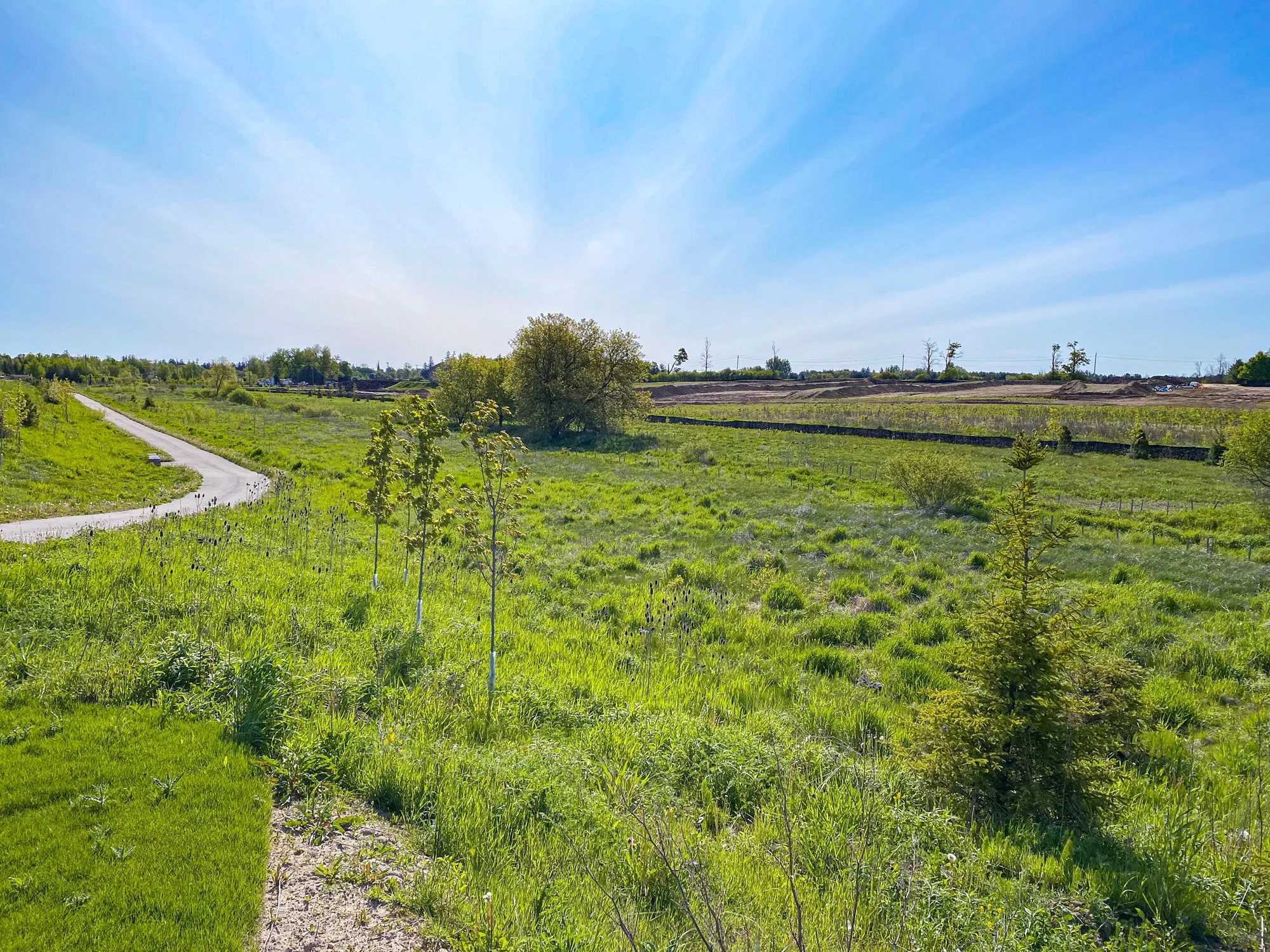 Sorbara Nigus Development - Wetlands overlooking contruction site with walkway