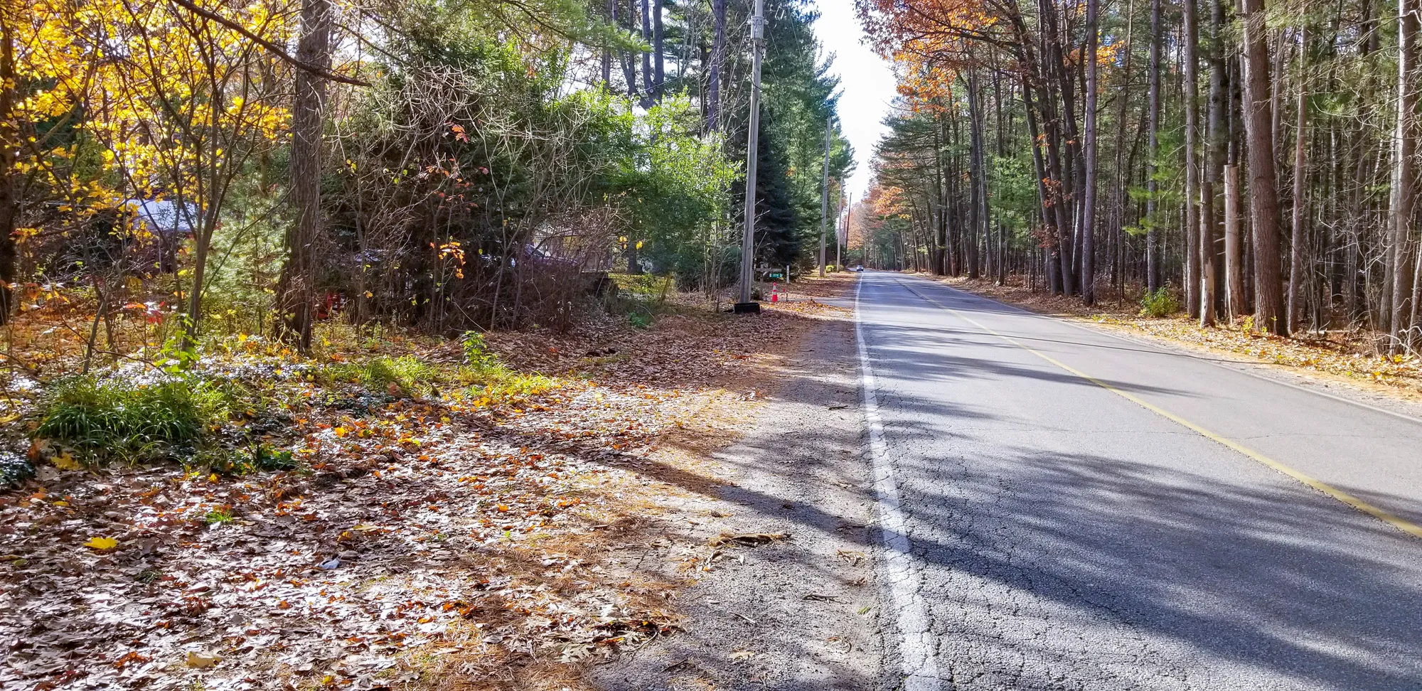 Veterans Way - Roadway showing roadside with brush and trees